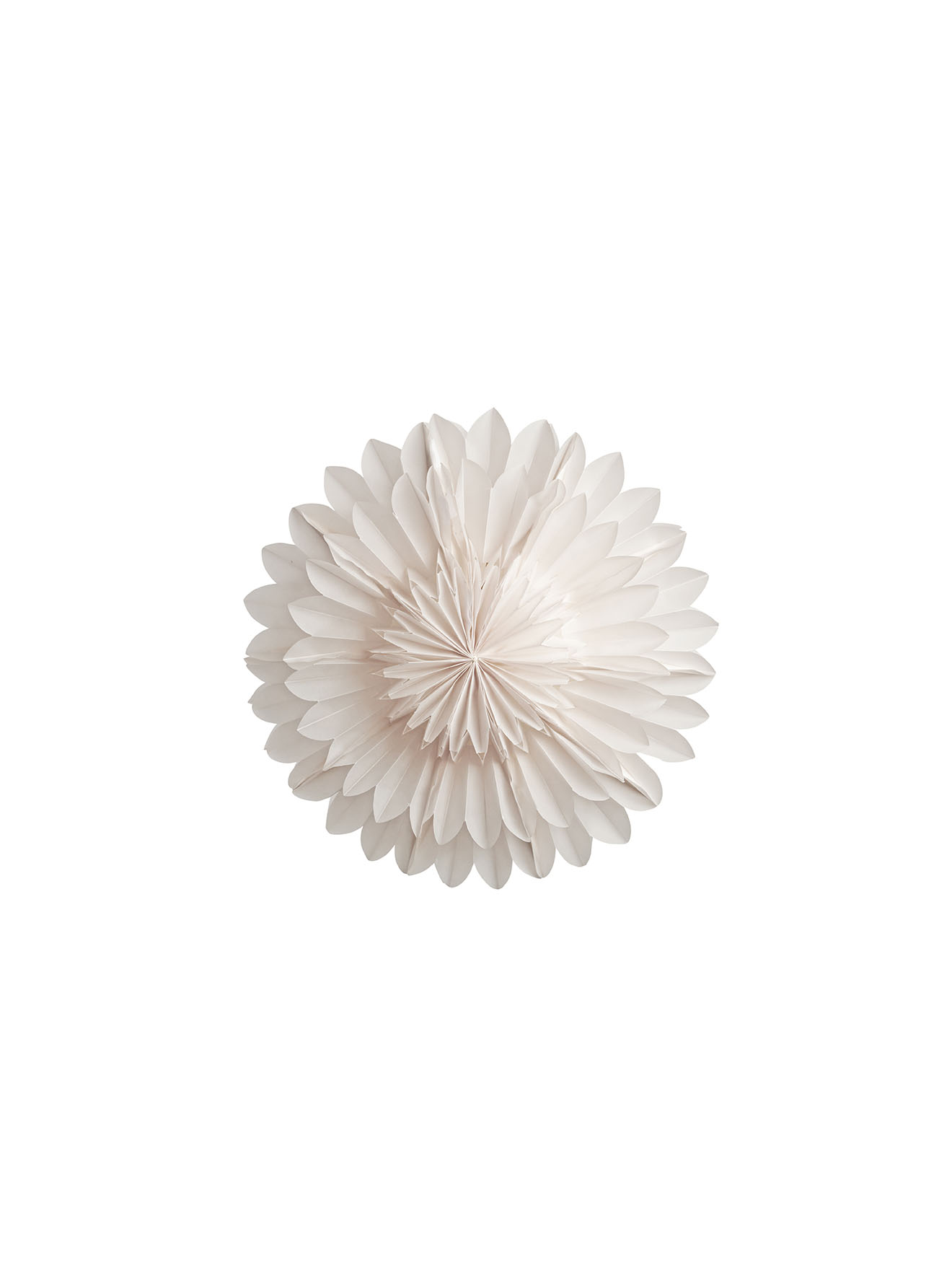 Lotus 44 White