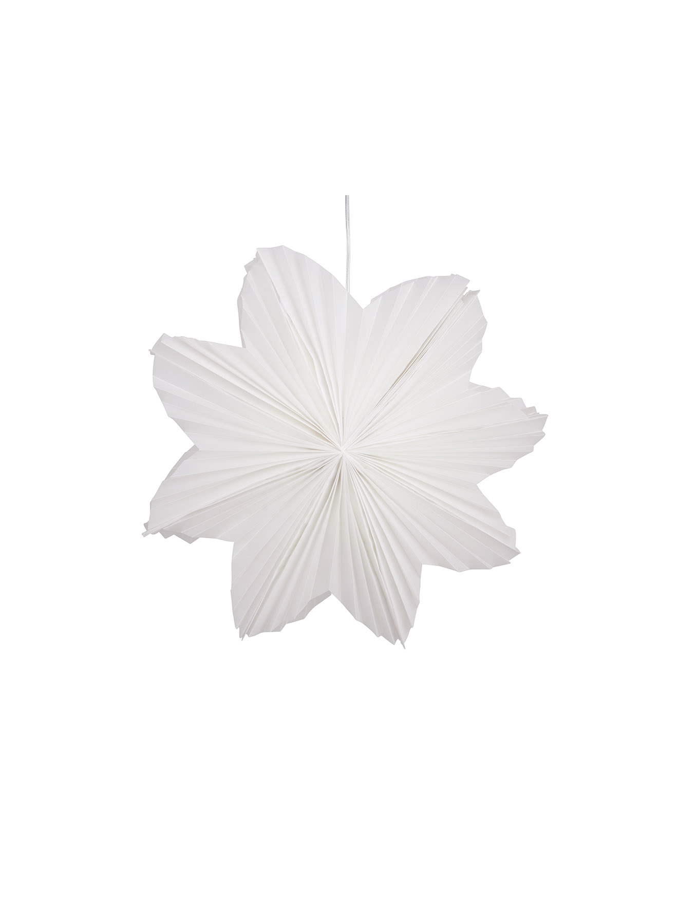 Daisy 60 White
