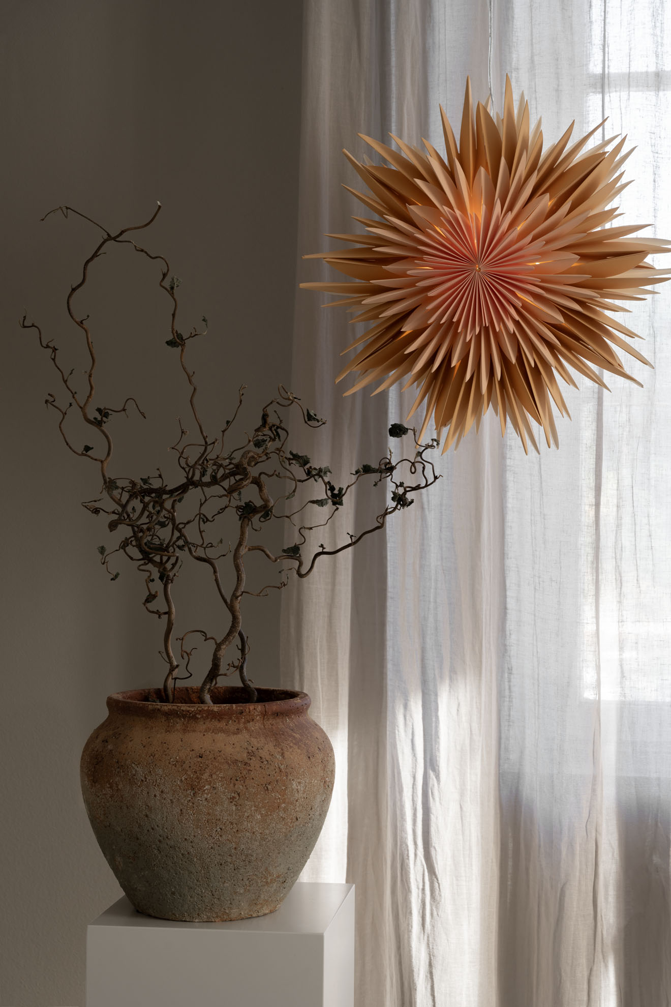Maja 50 Orange