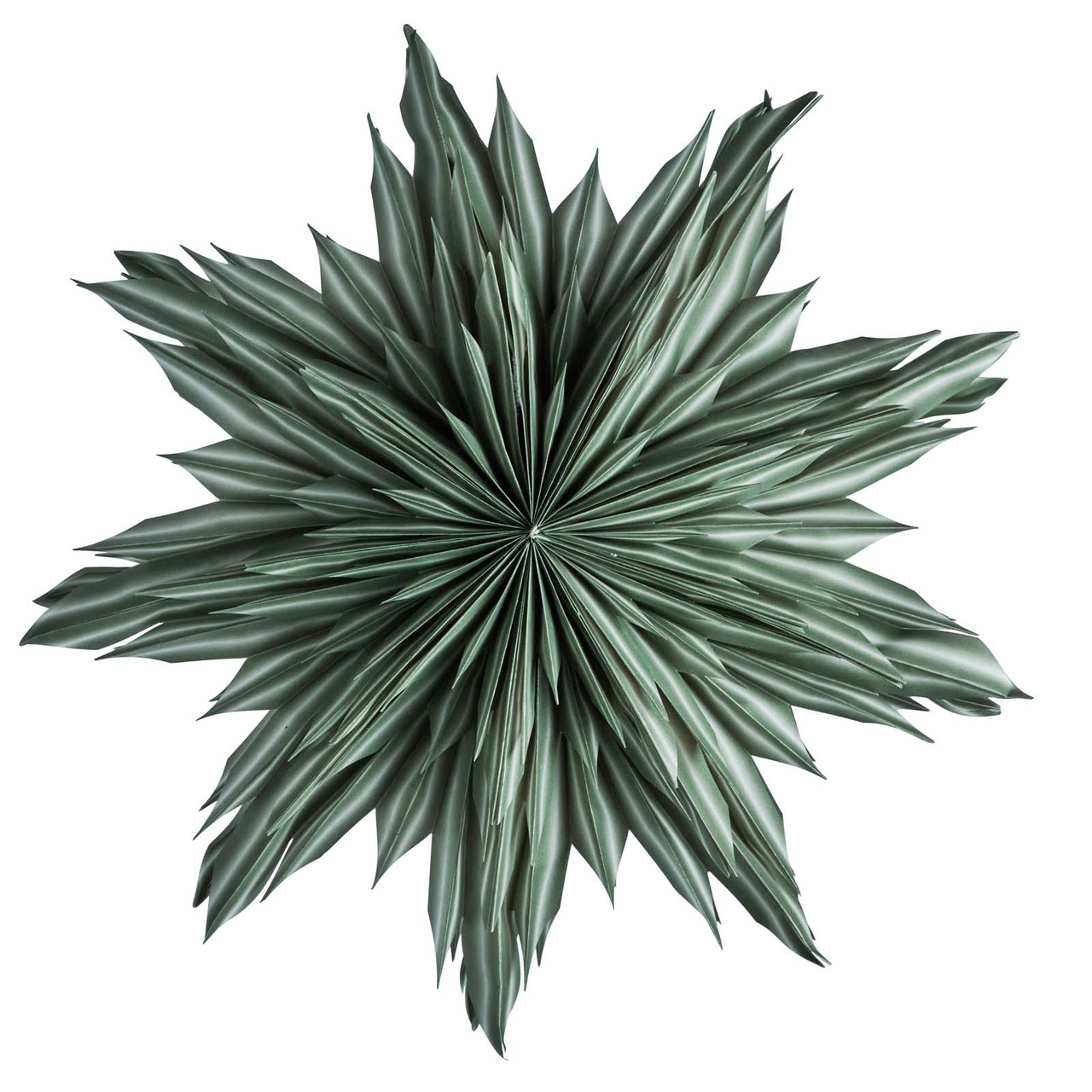 Helena 44 Green
