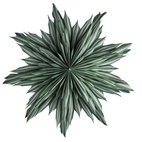 Helena 44 Green