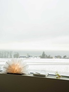 Mezza Snöblomma